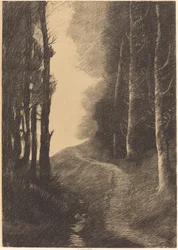 Landschaft mit Birken
