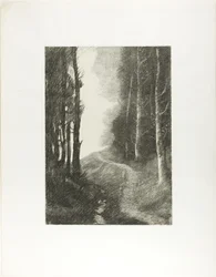 Landschaft mit Birken