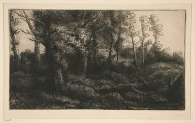Waldrand