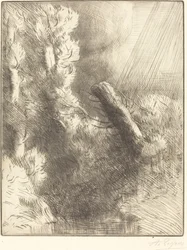 Erinnerungen an Fontainebleau im Regen Souvenir de Fontainebleau Effet de pluie