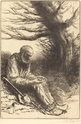Alter Mann, alter Baum (Vieil homme, vieil arbre)