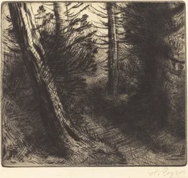 Pfad durch den Wald