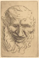 Kleine Satyrmaske