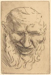Kleiner Satyrmaske