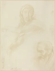Studie der delphischen Sibylle, Kopf eines Mannes