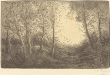 Sonnenaufgang, Wald von Clamard