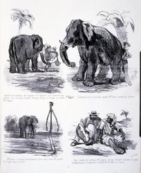 Illustration für Die Kunst des Zunehmens und Abnehmens
