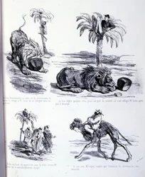 Illustration für Die Kunst des Zunehmens und Abnehmens