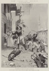 Die türkische Krise