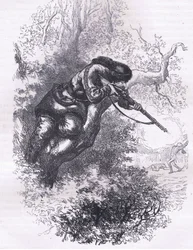 Amerikanischer Scharfschütze auf einem Baum, Illustration aus Cassells Geschichte der Vereinigten Staaten, veröffentlicht von Cassell, Petter & Galpin, ca. 1900