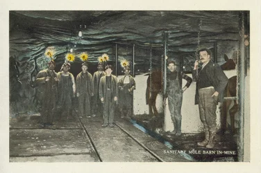 Amerikanischer Kohlebergbau: Sanitärer Maultierstall in der Mine