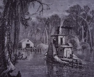 Szene der Everglades in Florida