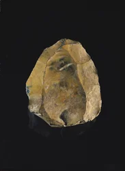 Logan Teetisch (Holz)