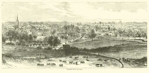 Natchez auf dem Hügel, Mai 1862