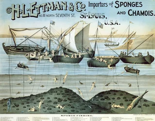 Plakat, das H.L. Ettman & Co., Importeure von Schwämmen und Chamois, 1897 bewirbt