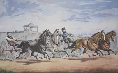 Stella und Alice Grey - Laterne und Walknochen, Vorbeifahrt am Stand (In ihrem großen Rennen im Doppelgeschirr über den Union Course L.I. am 5. Juni 1855), veröffentlicht 1855, Currier & Ives