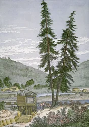 Sutters Mühle