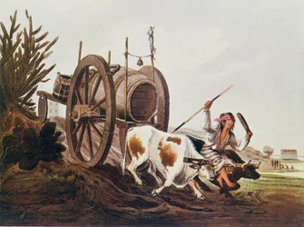 Wagen mit Wasser, reproduziert aus Vidals malerischen Illustrationen von Buenos Aires und Montevideo, veröffentlicht 1820, aus Die Romanze des Rio de la Plata, Bd. I, von W. H. Koebel, 1914