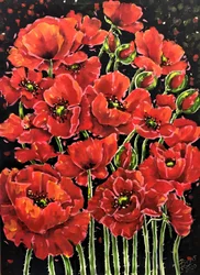 Lebendige Rote Mohnblumen