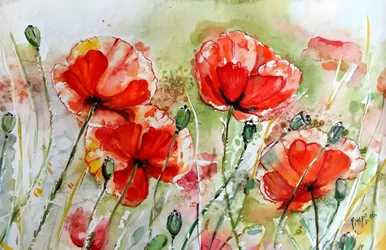 Lebendige Aquarell-Mohnblumen