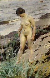 Sandhamn-Studie, 1914