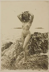 Hårstång (Seegras-Kranz)