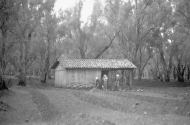 UNTERKUNFT IM OLIVENHAIN