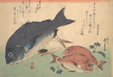 Kurodai und Kodai Fisch mit Bambussprossen und Beeren, aus der Serie Uozukushi Every V...