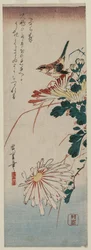 Grasmücke und Chrysanthemen, Mitte der 1830er Jahre