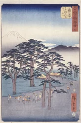 Fujisawa