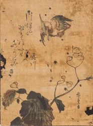 Studie von Vogel und Pflanze