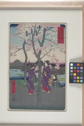 Das Sumida-Ufer in der östlichen Hauptstadt (T?to: Sumida Tei)