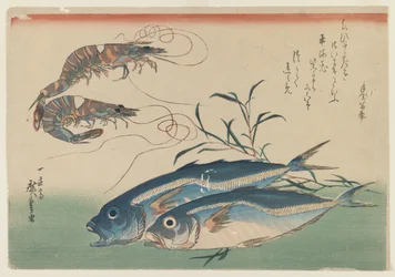 Zwei Garnelen mit zwei Pferdemakrelen, ca. 1832-33 (Farbholzschnitt auf Papier)