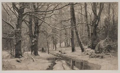 Wintertag im Wald