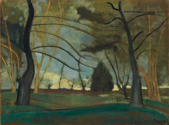 Der Park