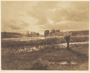 Die Teiche von Optevoz, Rhône
