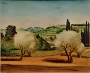 Landschaft mit Olivenbäumen