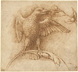 Ein Vogel auf einem Ast mit Früchten