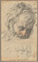 Studie für den Kopf des Heiligen Joseph (recto); Zwei Studien von Beinen (verso)