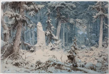 Verschneiter Wald