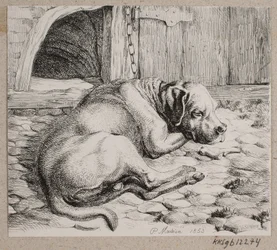 Ein schlafender Kettenhund