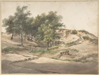 Bewaldete Landschaft bei Beekhuizen
