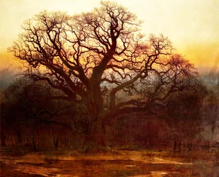 Major Oak, Sherwood Forest, Nottinghamshire, 1882