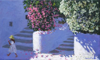 Bougainvillea, Anandas, Milos, Griechische Inseln