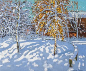 Goldene Blätter im Winter, Normanton, Derby