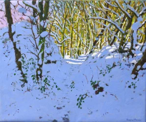 Pfad durch den Wald im Winter, Derbyshire