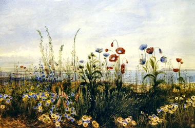 Ansicht von Kingstown und der Bucht von Dublin