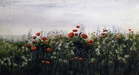 Sommerblumen. Gemälde von Andrew Nicholl (1804-1886) Privatsammlung.