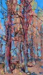 Bunte Wald Bäume