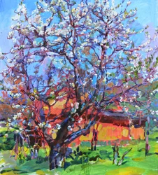 Blühender Frühlingsbaum